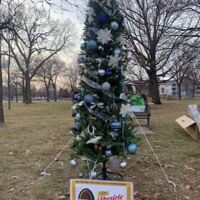 Photo of Trees & Traditions