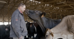 Dutchland Dairy Dan with Cow